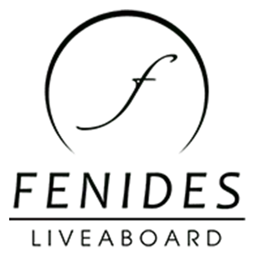 Fenides-Logo-1.webp